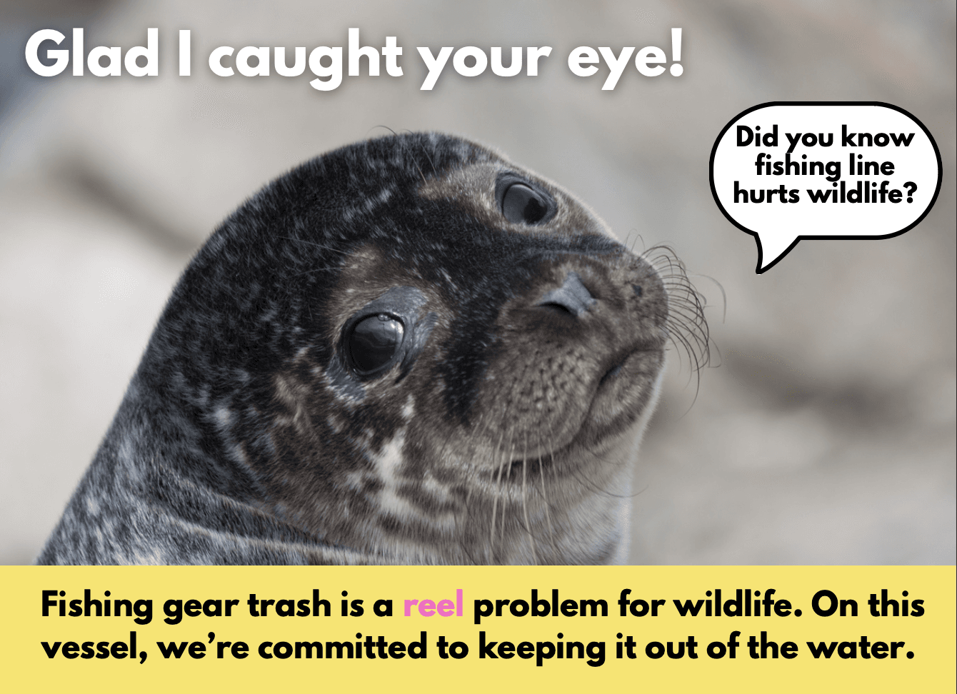 A thumbnail image showing an informational flyer about derelict fishing gear's impacts on wildlife.