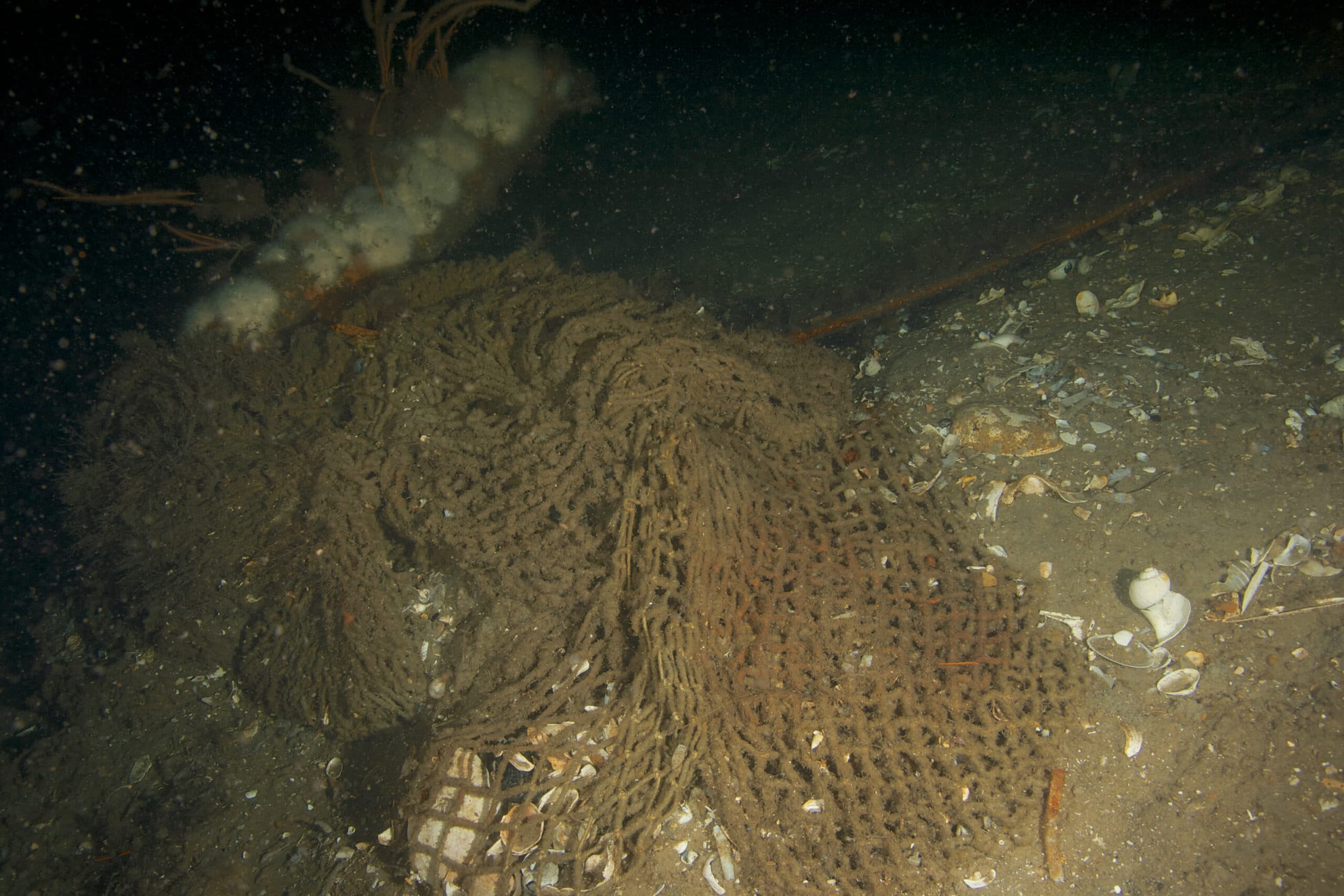 A discarded fishing net on the seafloor