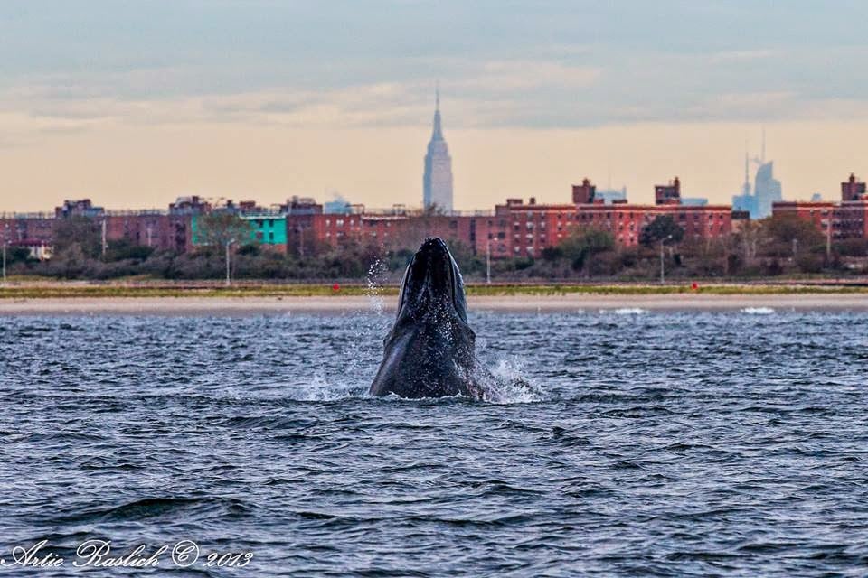 New York City Meeting Highlights Development of a Regional Ocean Action Plan for the Mid-Atlantic