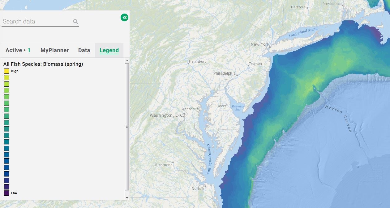 Portal Updates: Artificial Reefs, Marine Life and More