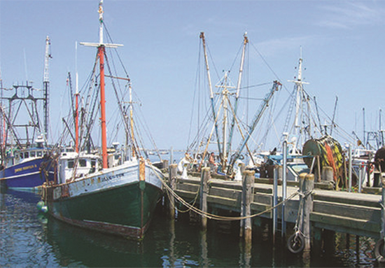 Fishing boats at the pier