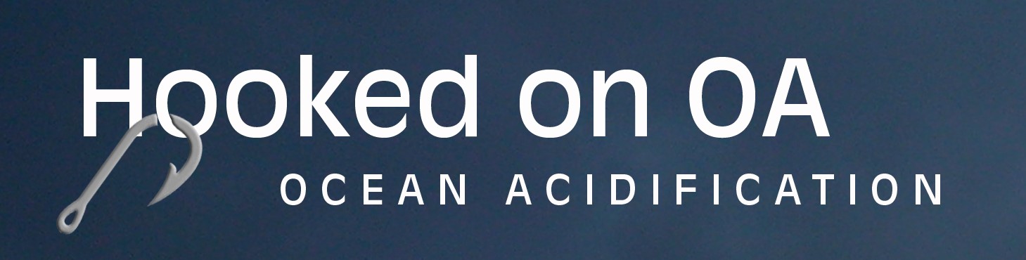 Hooked on OA flyer