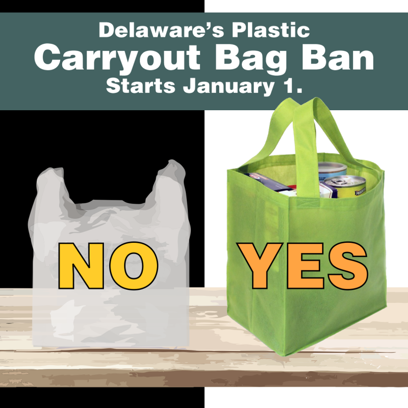 Plastic Carryout Bag Ban