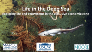 Live in the Deep Sea Webinar Series cover slide, photo of share and coral in deep sea Mid-Atlantic US