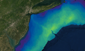 fish distribution in spring