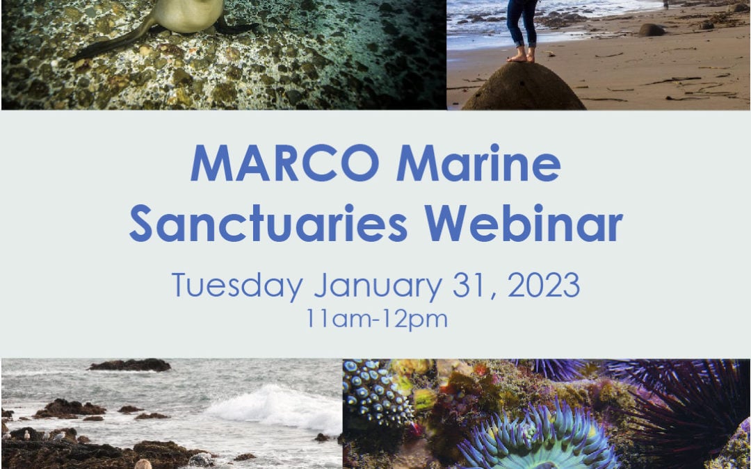 Marine Sanctuaries as a Mid-Atlantic Ocean Conservation Tool